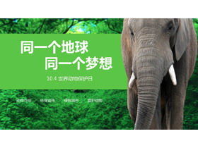 World Animal Day theme class meeting PPT template with forest elephant background