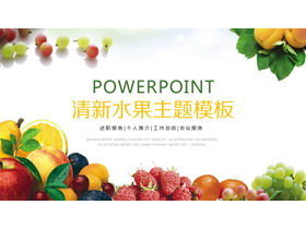 Exquisite fruit theme PPT template free download
