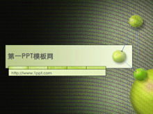 디지털 네트워크 기술 PPT 템플릿 다운로드