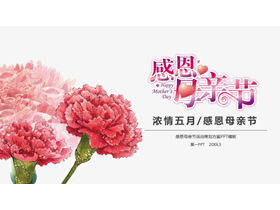 Carnation background strong affection May Thanksgiving mother PPT template