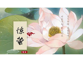 Modèle PPT d'introduction du terme solaire Jingzhe de fond de lotus méticuleux