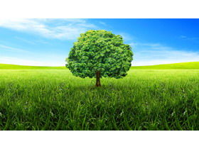 Blue sky white clouds grass green trees PPT background picture