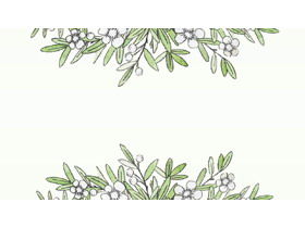 Quattro foglie verdi dell'acquerello e piante di fiori bianchi immagini di sfondo PPT