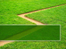 Zielona trawa roślina szablon tło PPT