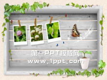 Vine butterfly PPT background picture download