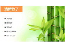 Fresh light green bamboo PPT background picture download
