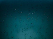 Download dell'immagine di sfondo PPT della piuma astratta della goccia d'acqua