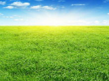 Exquisite grassland PowerPoint background image