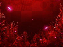 Любовь Красная Стрекоза Слайд-шоу Фоновое изображение