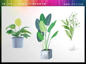 3つの緑の水彩盆栽PPT素材