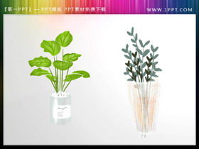 Two green bonsai PPT material illustrations
