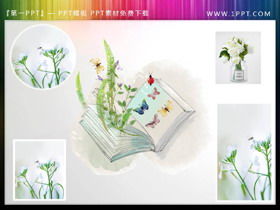 Taze yeşil bitki kitabı kelebek PPT illüstrasyonu