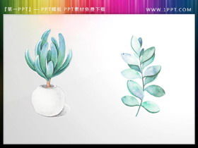 Succulente bonsai e foglie verdi materiale PPT