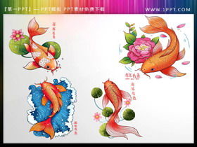 4 exquisite carp PPT materials