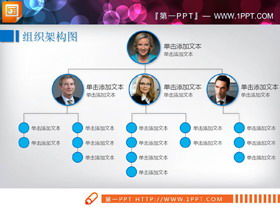 Two blue team members organization chart PPT chart
