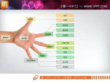 Download del materiale dell'organigramma Palm PPT