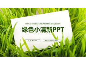 녹색 잔디 흰색 카드 배경에 신선한 작업 계획 PPT 템플릿
