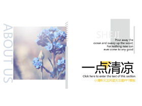 Pflanze Blume Hintergrundbild Bilderbuch Wind Sommer Thema PPT-Vorlage