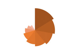 Gráfico de Nightingale Rose —— Descargar gráfico de PPT