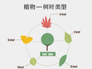 11 gráficos ppt en color plano de elementos vegetales