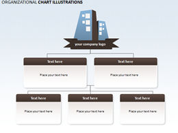 Company organization structure ppt chart