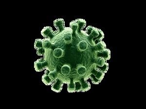 รูปภาพ png ฟรี Coronavirus (8 ภาพ)