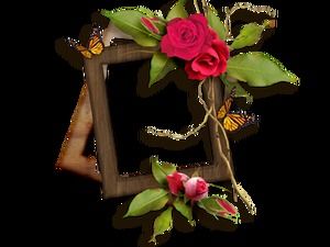 Rose decoration high-definition photo frame png pictures (8 photos)
