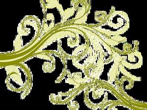 Plant vine lace line flower curl pattern free background transparent png material