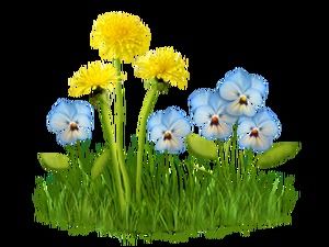 120芝生芝植物花の背景透明png画像素材ダウンロード（下）