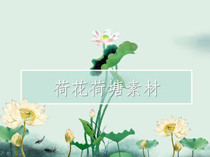 Chinese wind lotus lotus leaf lotus pond ppt material Daquan download