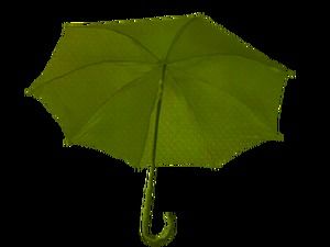 All kinds of umbrellas free high-definition png material picture (on)
