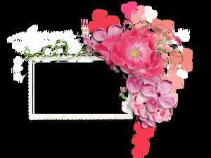 60 exquisita decoración de guirnaldas de flores hermoso marco de fotos png material de imagen (parte 2)