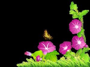 Floare de viță de vie colț decor png imagine material (60 fotografii)