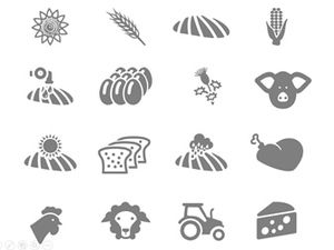 Farm tools, crops, plants, ppt gray icons