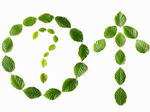 Feuille verte symbole créatif série de protection de l'environnement matériel d'image ppt