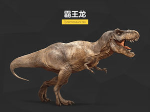 Dinosaur Illustrated ppt วัสดุ - วัสดุ ppt ที่จำเป็นหลังจากดู "Jurassic World" (Jurassic World)