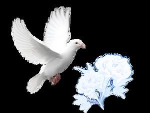 Dove of peace, feathers, lines, stars, etc. png transparent background material