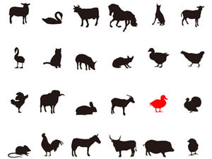 ppt desenha uma variedade de materiais ppt de clipart de animais (animais ocos)