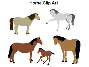 PPT drawing horse material picture of the year of the horse