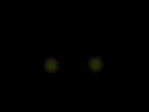 A luz dos vaga-lumes aparecendo no céu noturno modelo de efeitos especiais ppt