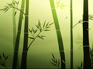La fotocamera ha ingrandito lentamente, la foresta di bambù e le foglie di bambù che cadono modello ppt effetto dinamico