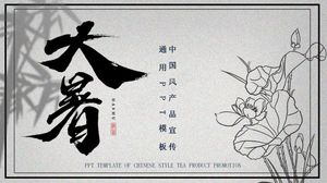 Chinese style twenty-four solar terms and summer customs introduction ppt template