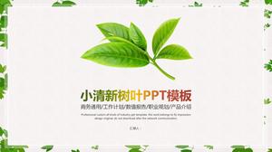 Simple and fresh leaf work report general ppt template