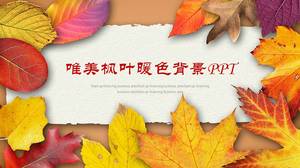 Autumn leaves warm color system ppt template