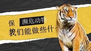 Ppt to protect endangered animals