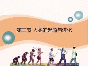 Beijing Normal University รุ่นต้นกำเนิดของบทเรียน ppt วิวัฒนาการของมนุษย์
