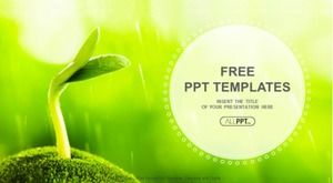 Sprout personal summary ppt template