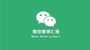 Plantilla ppt de informe de marketing de WeChat de promoción de productos ecológicos y concisos