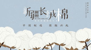 Modelo de PPT de introdução de algodão longo de Xinjiang
