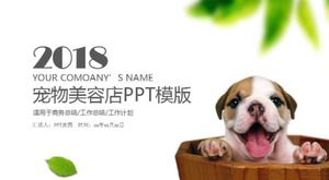 Fresh and exquisite pet beauty dynamic ppt template